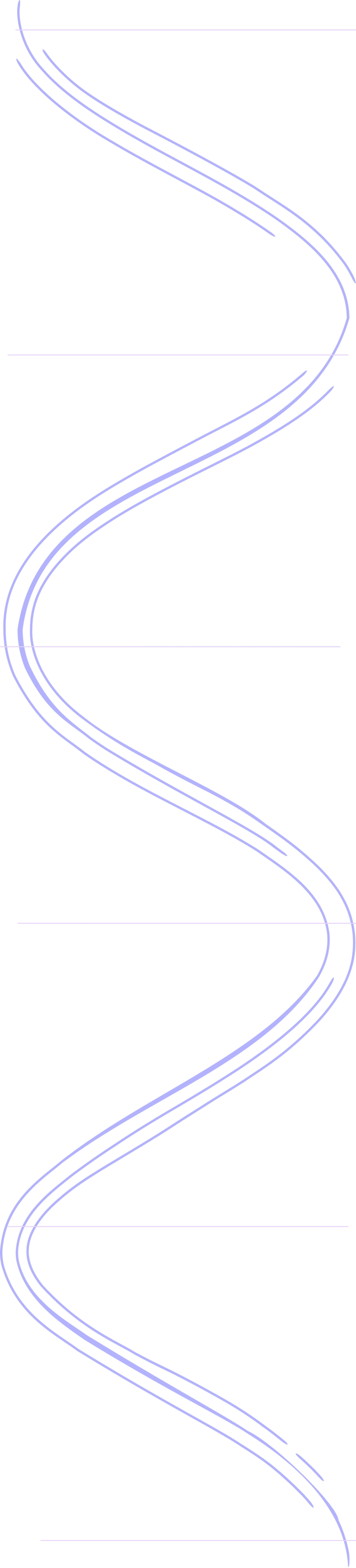 Vector